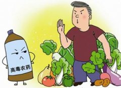 如何正確選擇適合的蔬菜？